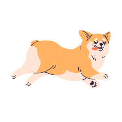running corgie