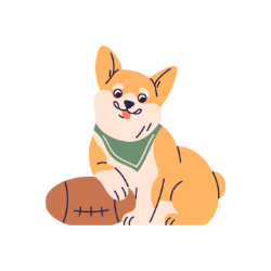 corgie with a football