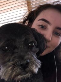 maltese and me