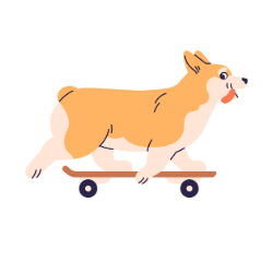 corgie on skateboard